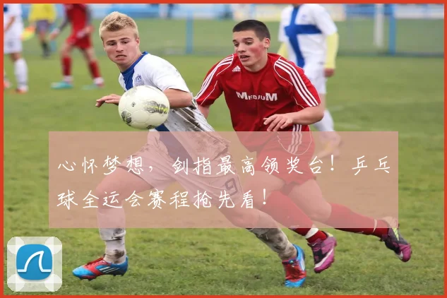 心怀梦想，剑指最高领奖台！乒乓球全运会赛程抢先看！